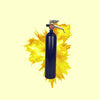 Colour Powder Blaster